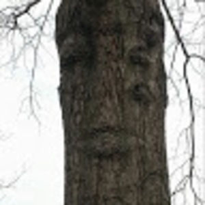 Meet your Posher, Dolores